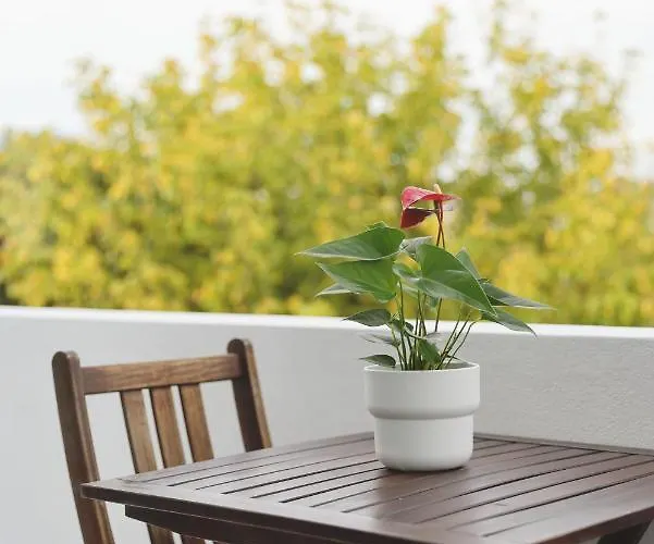 Boavista Sunlit Duplex With Terrace 公寓