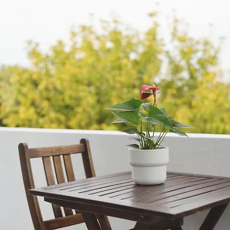 Boavista Sunlit Duplex With Terrace شقة